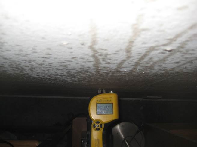 Comprehensive Mold Inspection: Professional Solutions for Property Health
