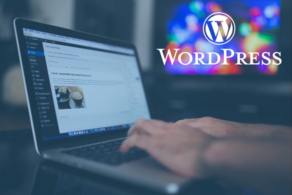 How Can You Choose the Perfect WordPress Website Designer?