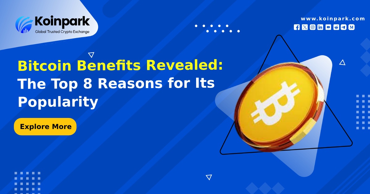 Bitcoin Benefits Revealed: The Top 8 Reasons for Its Popularity