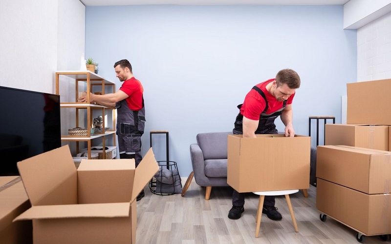 Look For Better Moving Solutions: Finding Cheap Movers and Packers in Abu Dhabi