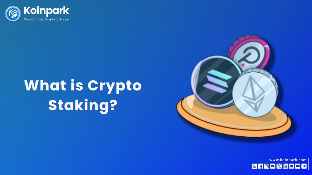 Crypto Staking [What you should know]