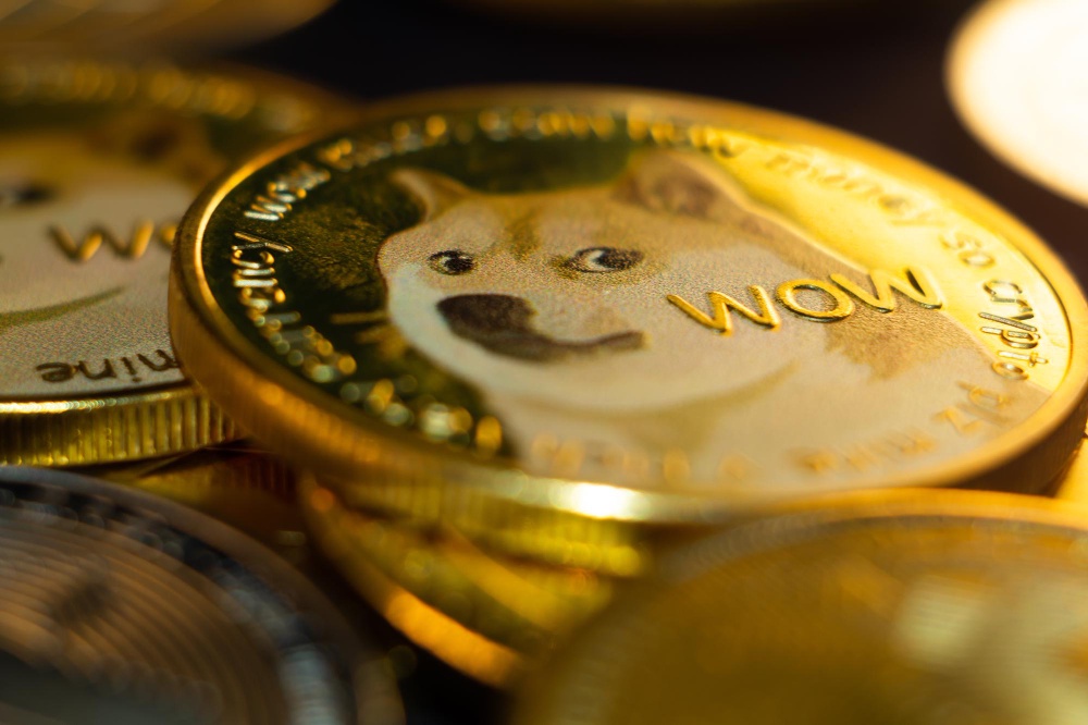 Shiba Inu Cryptocurrency: Everything You Need to Know