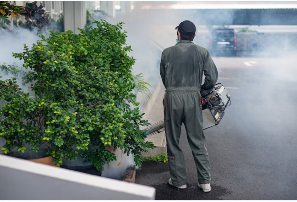 The Hidden Threat: Understanding Common Pests in Cape Schanck