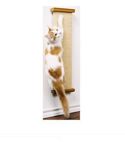 Why Your Feline Friend Deserves a Smart Cat Scratching Post from Shopping4Pets
