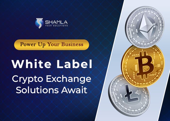 Top 10 White Label Cryptocurrency Exchange Development Solutions in 2024