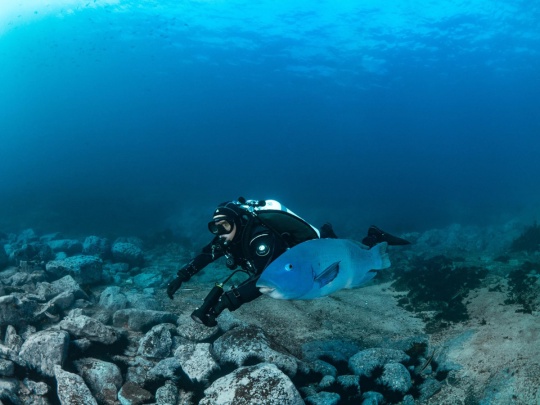 Dive Into Adventure: Exploring the Depths with Discover Scuba Diving