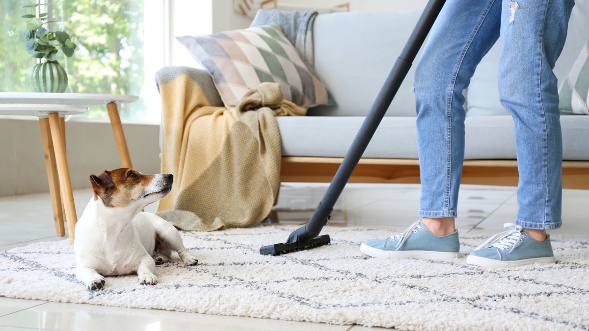 Old Stains, New Tricks: Proven Methods for Tackling Set-In Carpet Stains