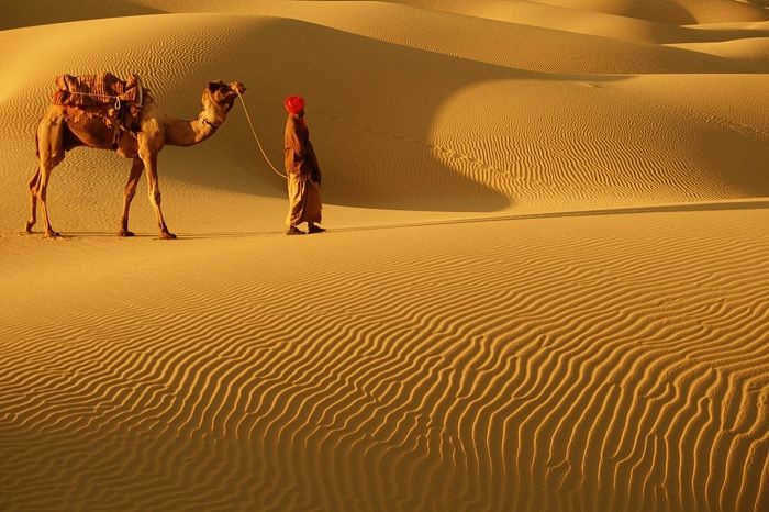 Discover 7 Amazing Things to Do in Jaisalmer: The Golden City