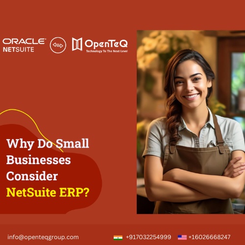 Streamlining Business Operations: The Role of NetSuite ERP Solution Providers