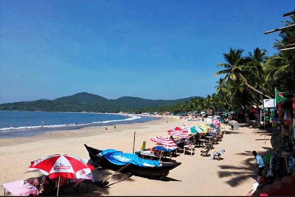 Unveiling the Coastal Marvels: Your Insider's Guide to South Goa's Best Beaches