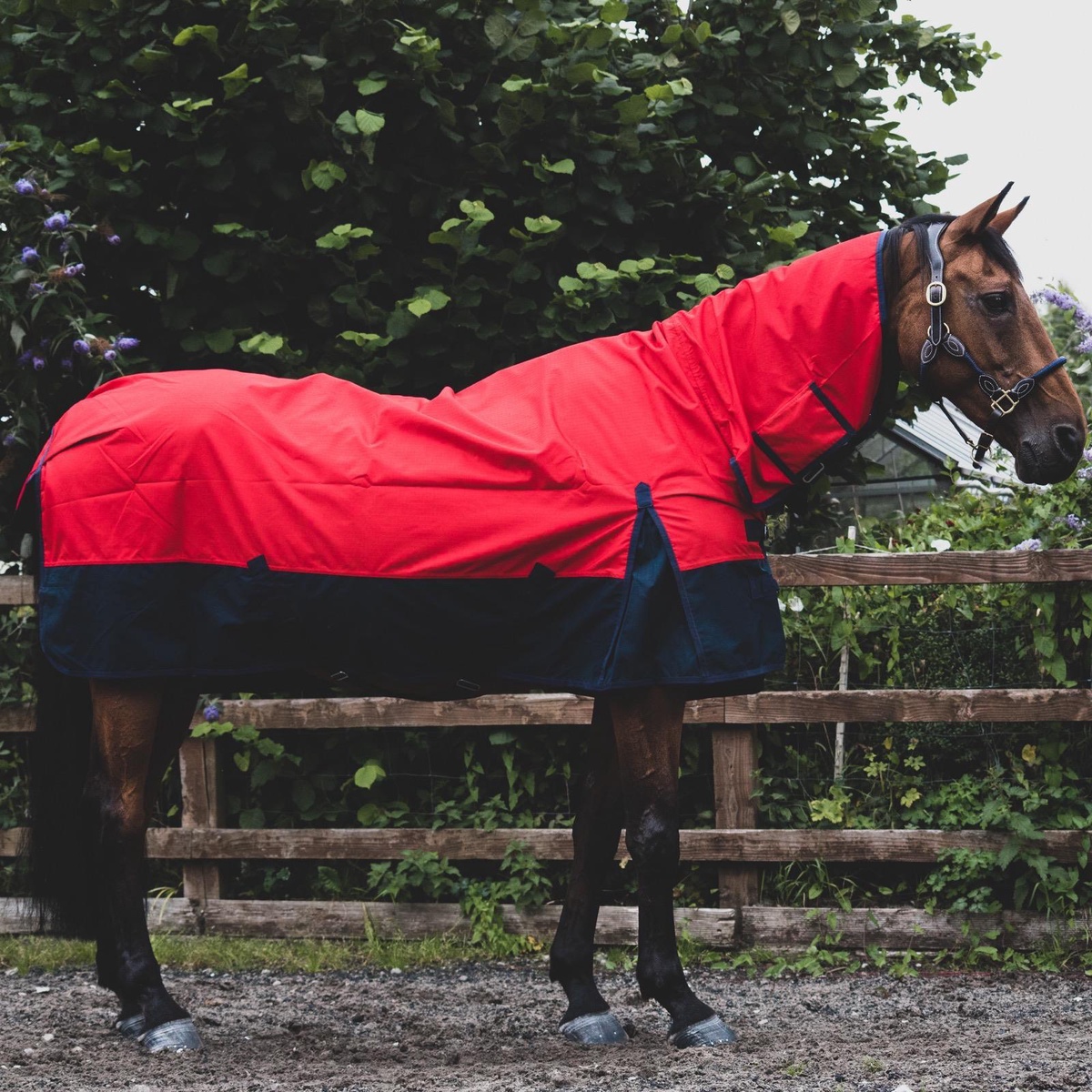 Keeping Your Horse Warm and Dry: The Power of a 1200 Denier Turnout Rug