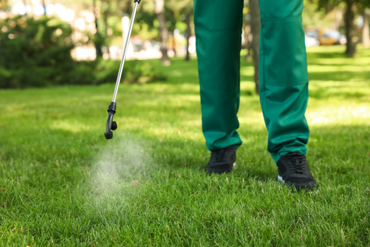 Lawn and Pest Control Services: Enhancing Your Outdoor Living Space