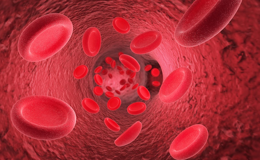 Understanding MCHC in Blood Tests: A Vital Indicator of Overall Health