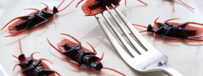 How To Pest Control for Restaurants: 5 Effective Methods