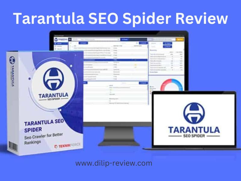 Tarantula SEO Spider Review