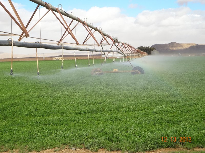Maximizing Water Efficiency: Strategies for Irrigation Companies in Saudi Arabia
