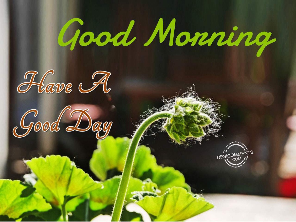 Good Morning Wishes and Pictures: 10 Inspirational Messages