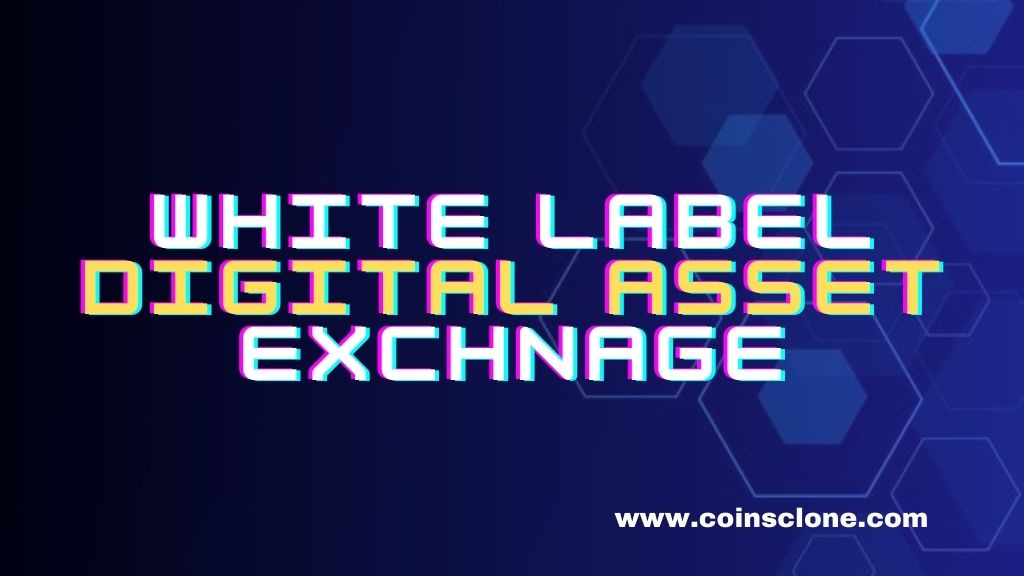 How Does White Label Digital Asset Exchange Help Create a Digital Asset Exchange Platform?