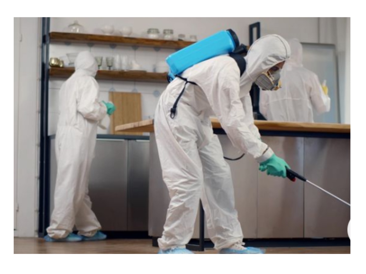 Unveiling the Best Pest Control Services in Thane: Your Shield Against Pesky Intruders