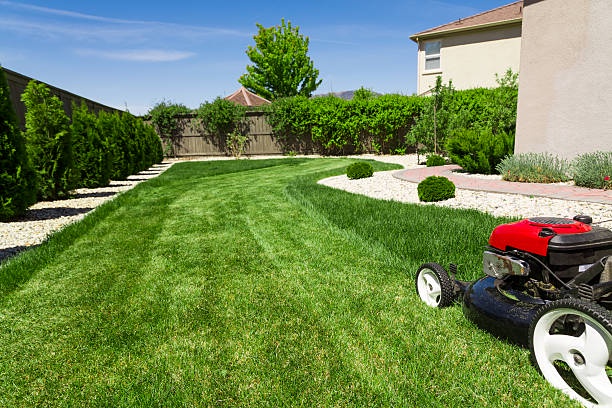 The Essential Guide to Lawn Clean Up: Keeping Your Outdoor Space Immaculate