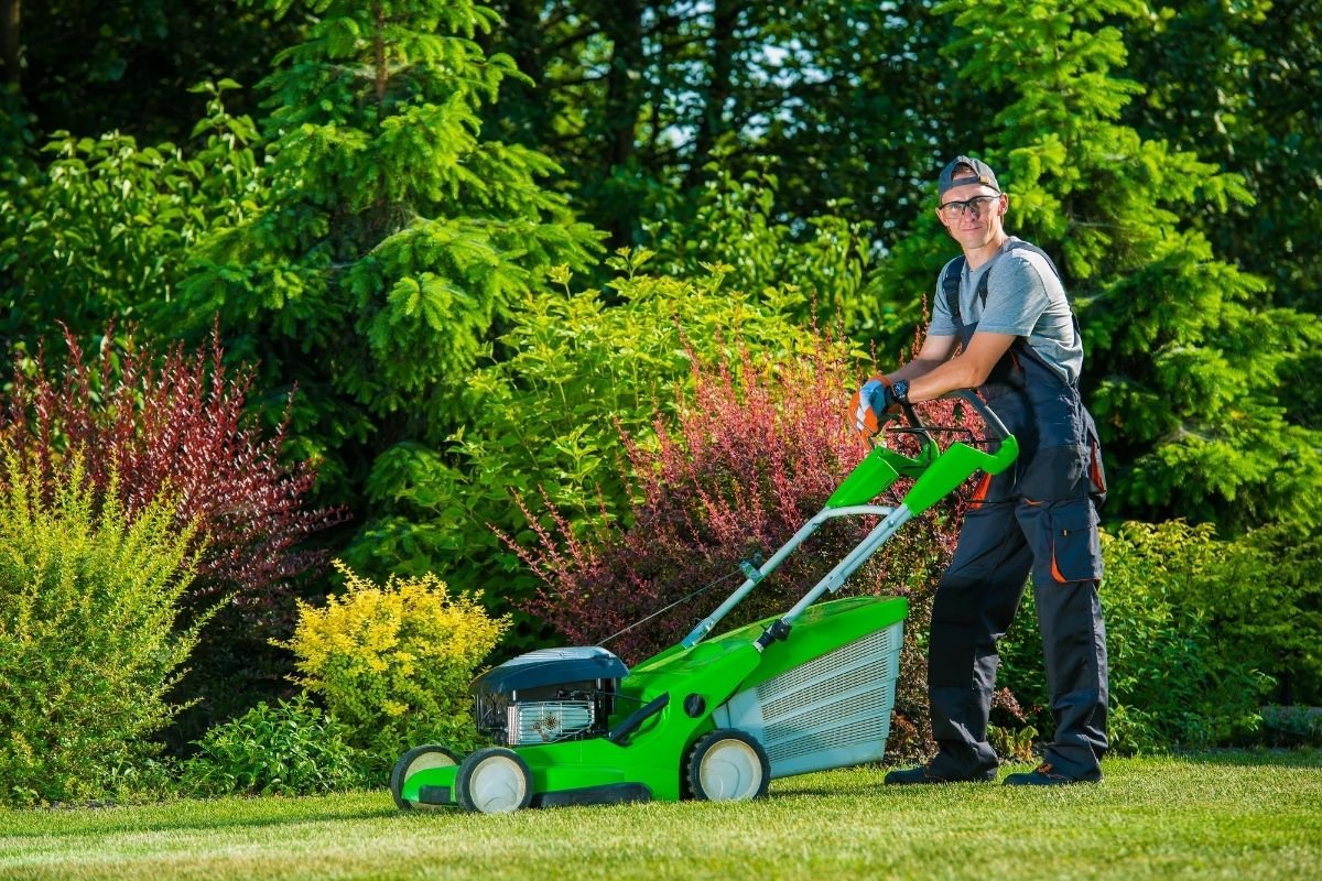 How Garden Maintenance Services Enhance Your Property Value?