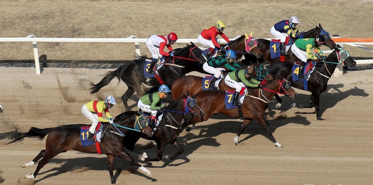 Gwacheonbeol 1800m ‘Queen Horse Race’ Fun Journey Wonderful Slew, etc.