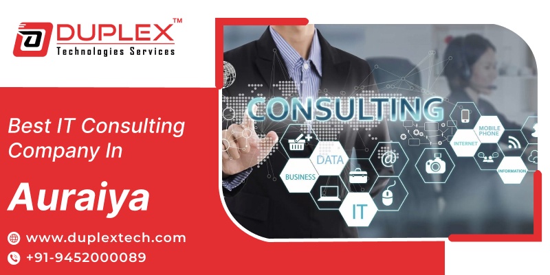 Find the Best IT Consultants in Auraiya | Duplex Technologies