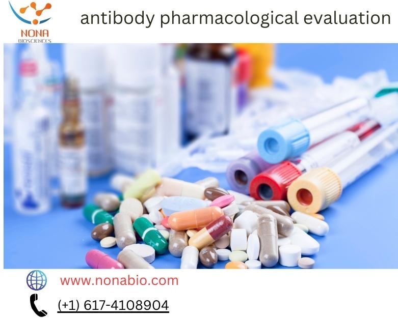 Unlocking the Potential: Antibody Pharmacological Evaluation for Enhanced Therapeutic Efficacy