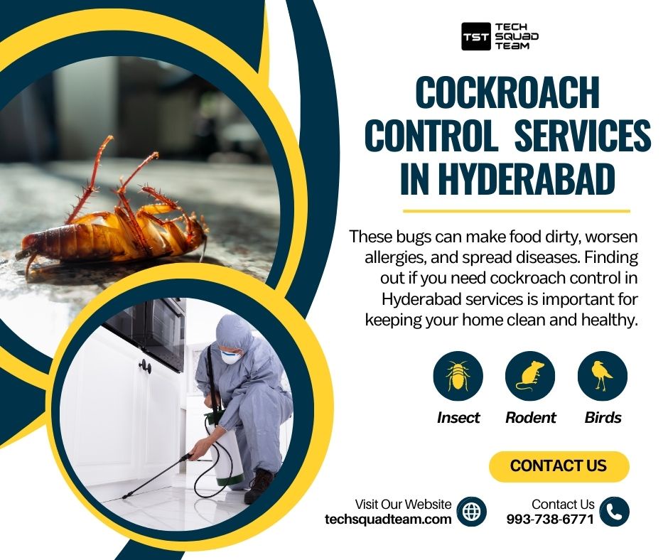 How to Identify the Need for Cockroach Control Services in Your Home