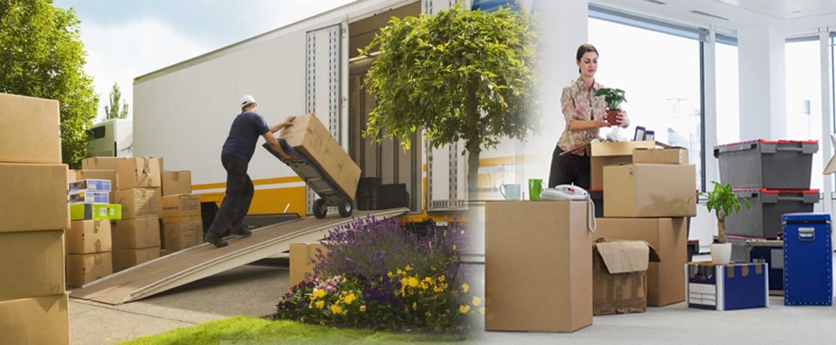 Seamless Transitions: The Role of Home Shifting Services