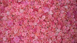 Creating the Perfect Ambiance with a Pink Flower Wall