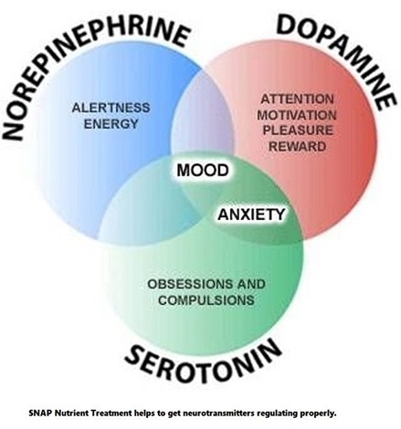 Unlocking the Power of Neurotransmitter Dopamine: A Comprehensive Guide