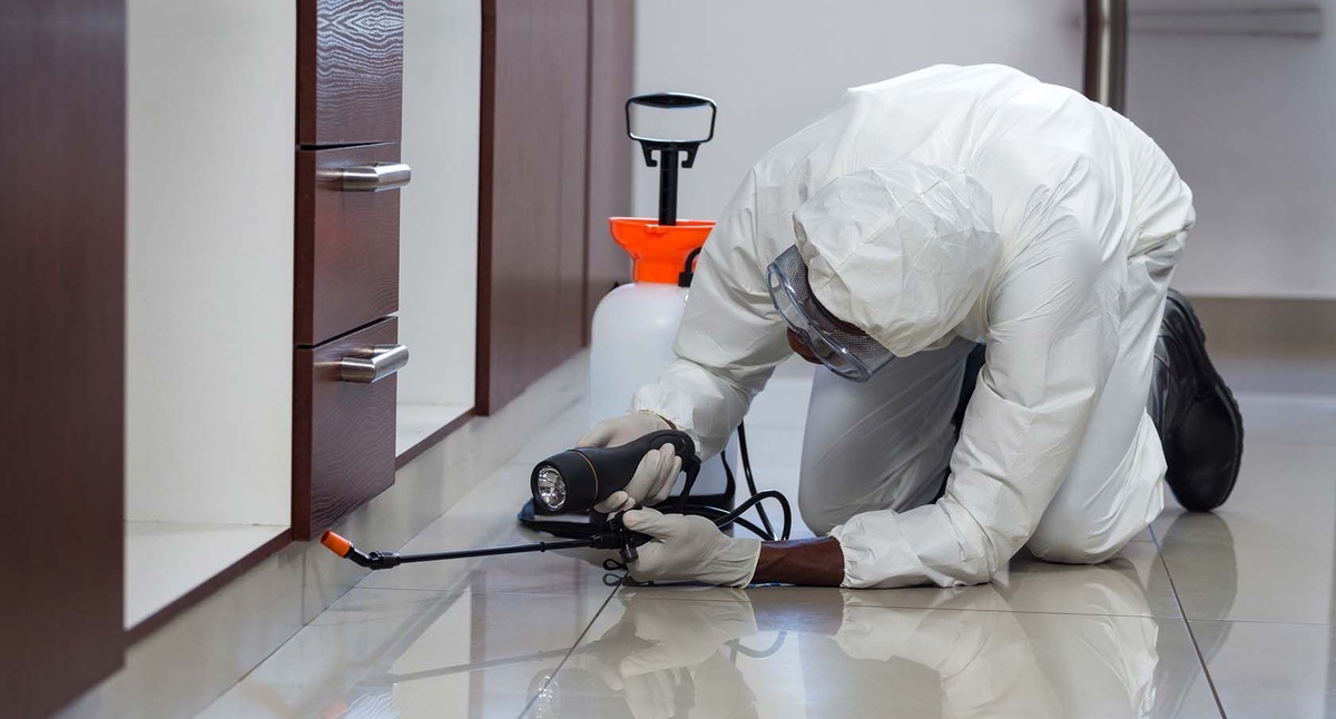 The Ultimate Resource for Commercial Pest Control Services in Charlotte