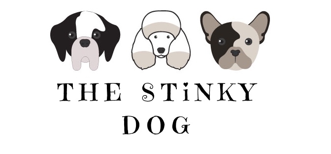 The Stinky Dog: A Detailed Review of Pet Product Excellence