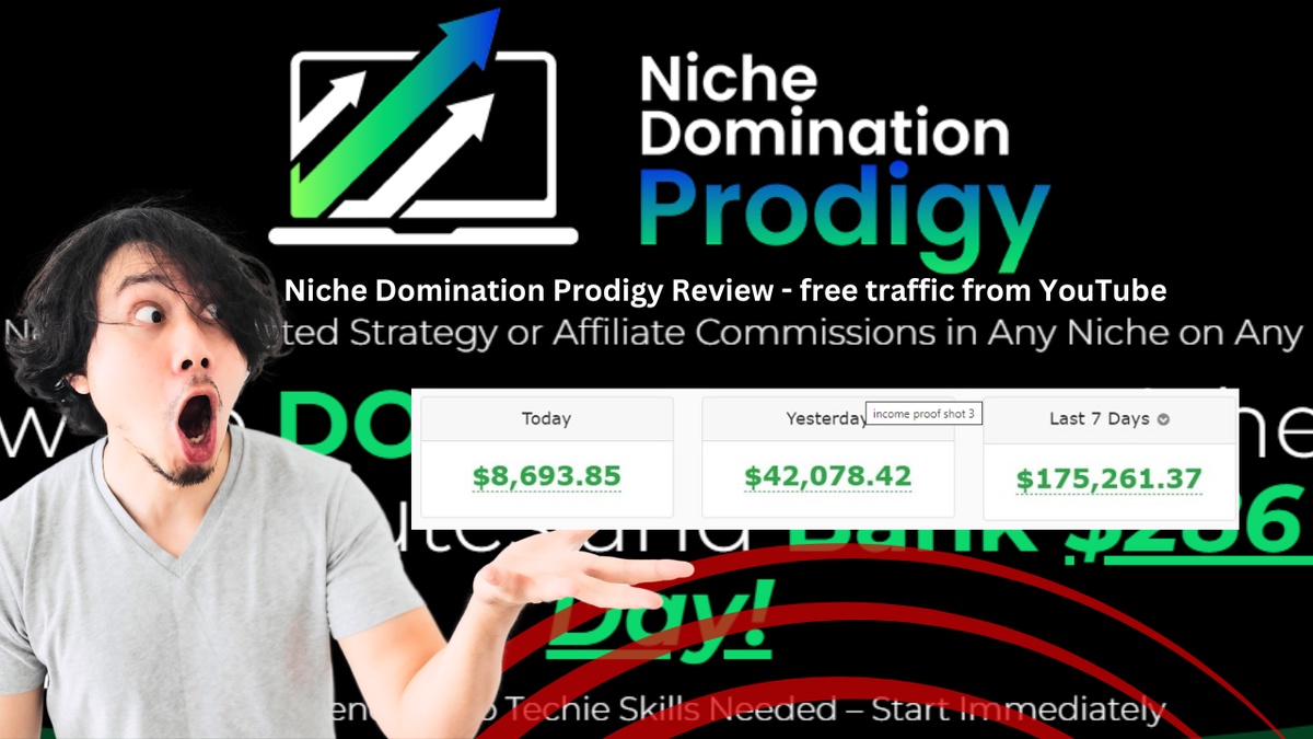 Niche Domination Prodigy Review –  free traffic from YouTube