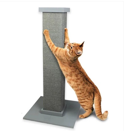 Paw-some Picks: Top Cat Scratching Posts Online
