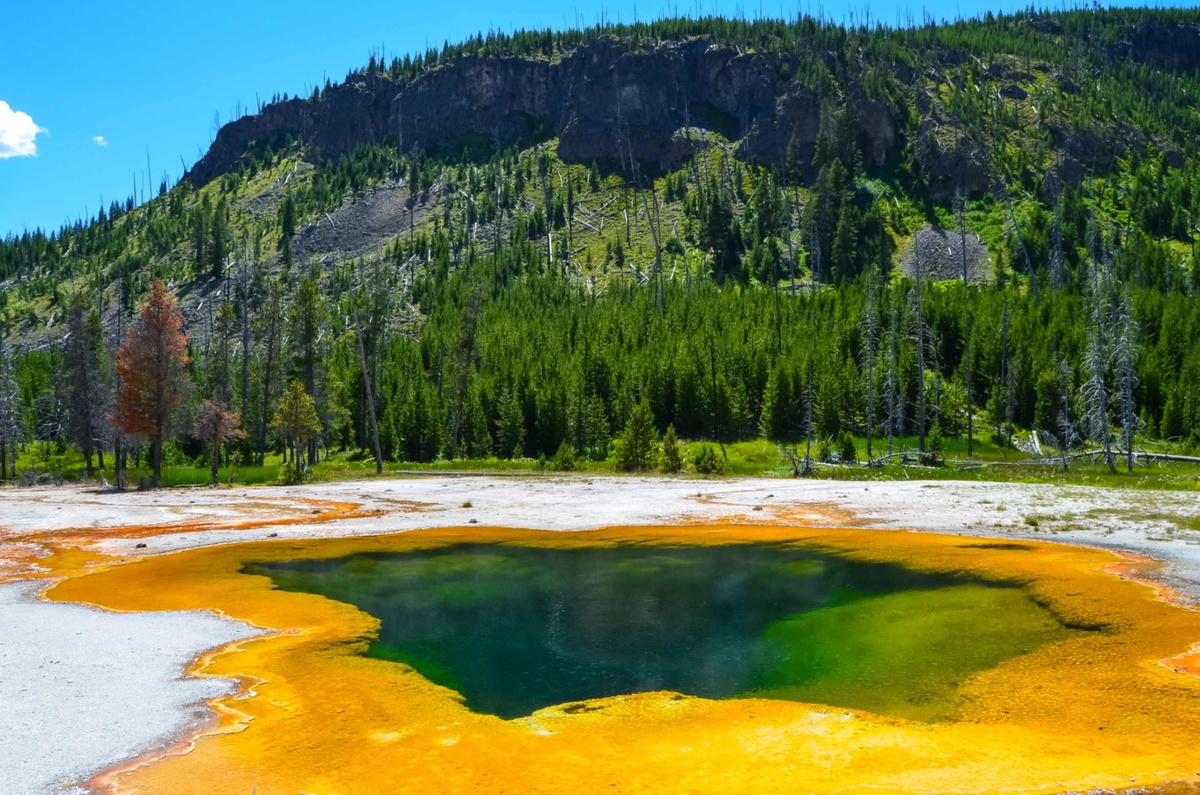 Exploring Yellowstone: Your Ultimate Guide to the Top 10 Must-Do Activities