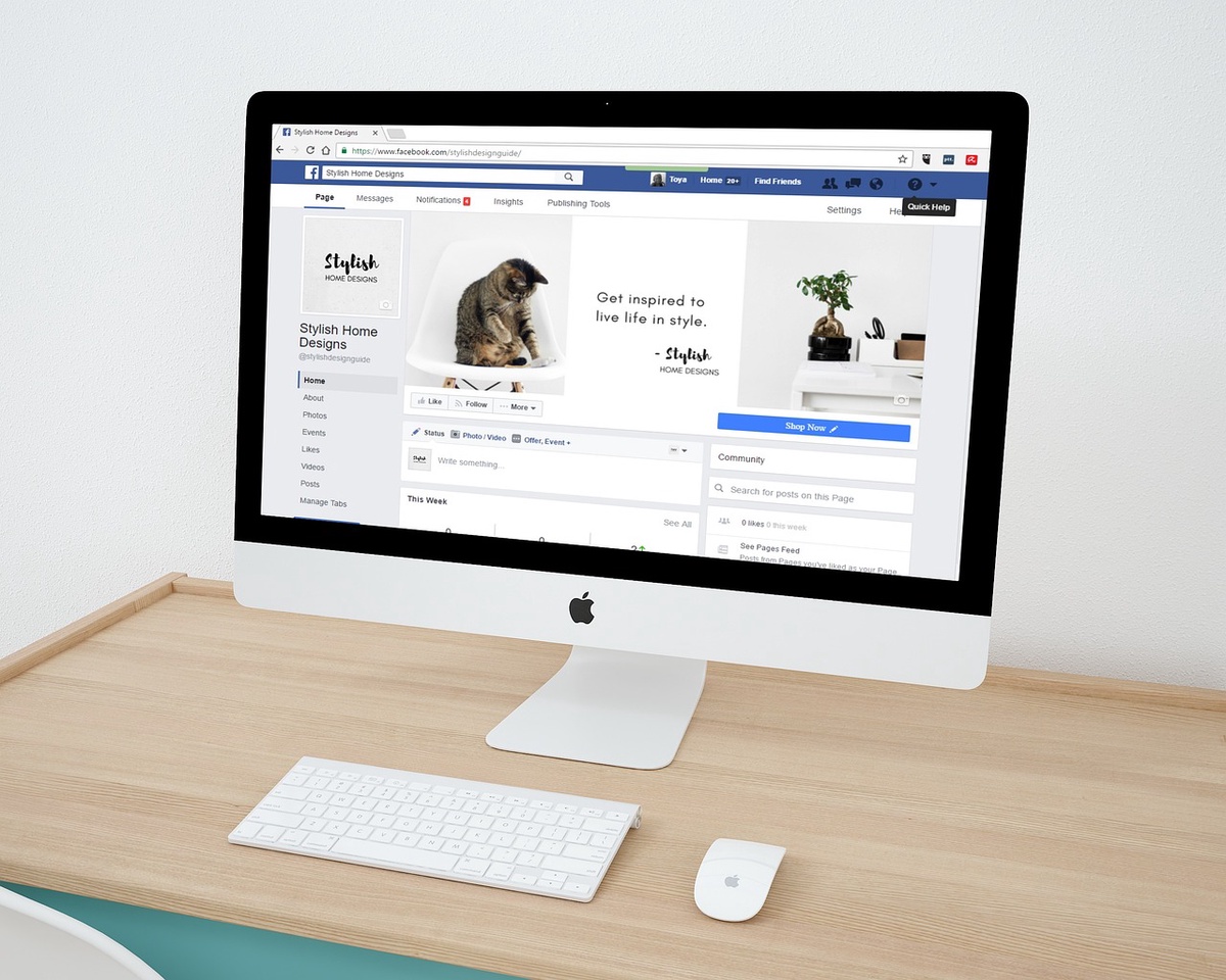 Building Brand Presence: The Power of Facebook Business Pages