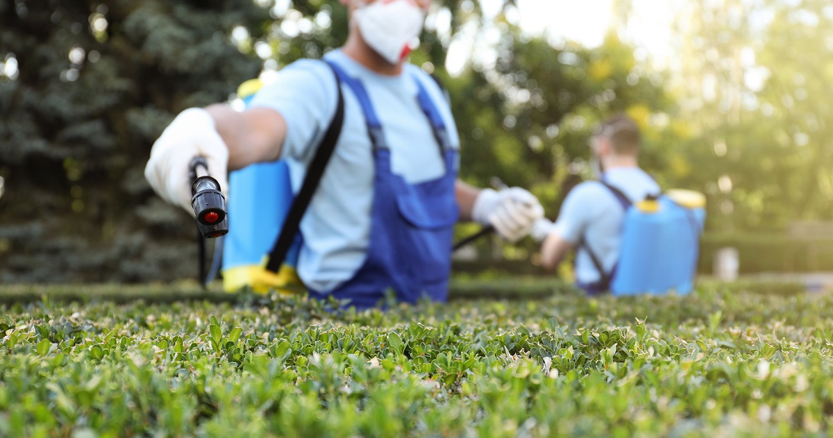 Pest Control Services In Youngstown