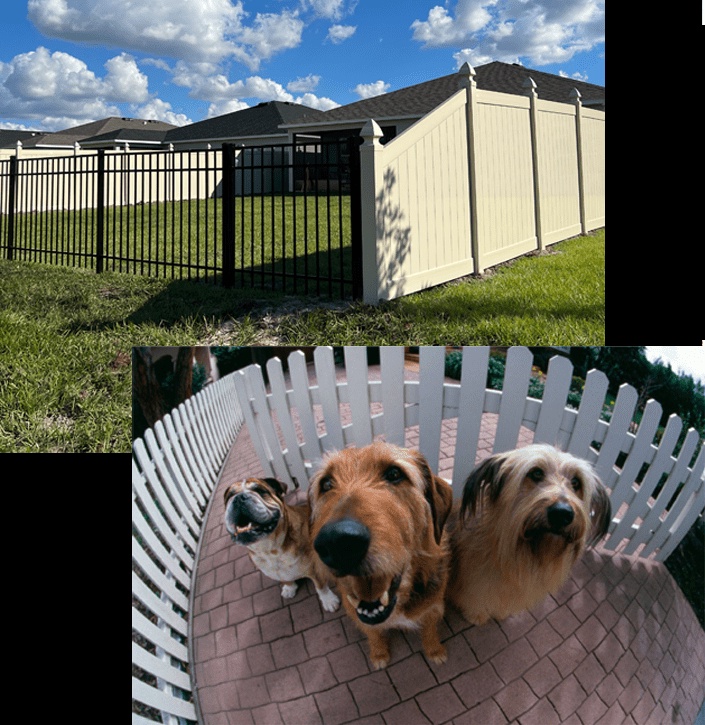 Enriching Your Space: The Art of Selecting and Maintaining Your Home Improvement Fence