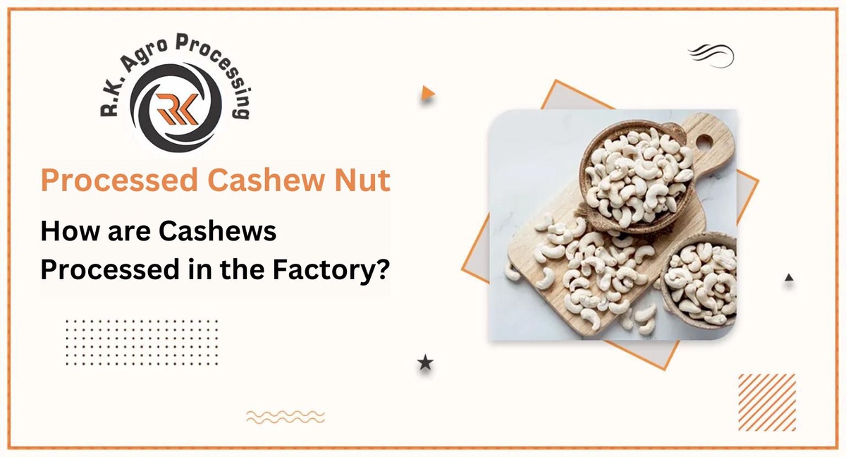 How are Cashews Processed in the Factory?