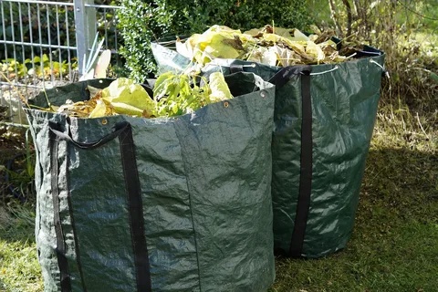 Don't Let Leaves Leaf You Behind! Effortless Bromley Garden Waste Collection with City Junk & Gardening!