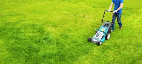 Lawn Looking Lackluster? Tame the Turf with City Junk & Gardening's Grass Cutting Cavalry
