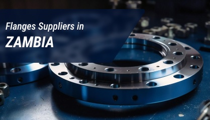 Flanges Suppliers in ZAMBIA