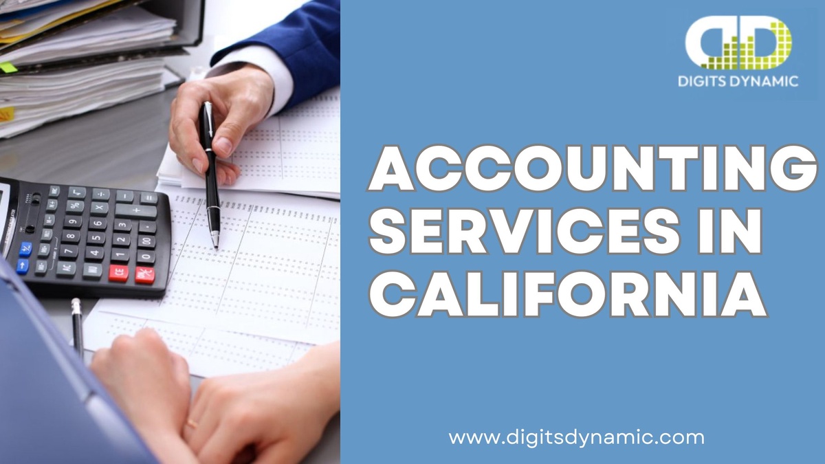 Elevating Financial Management Digits Dynamic's Accounting Services in California