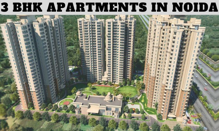 3 BHK Apartments in Noida | 3 BHK Apartments For Sale
