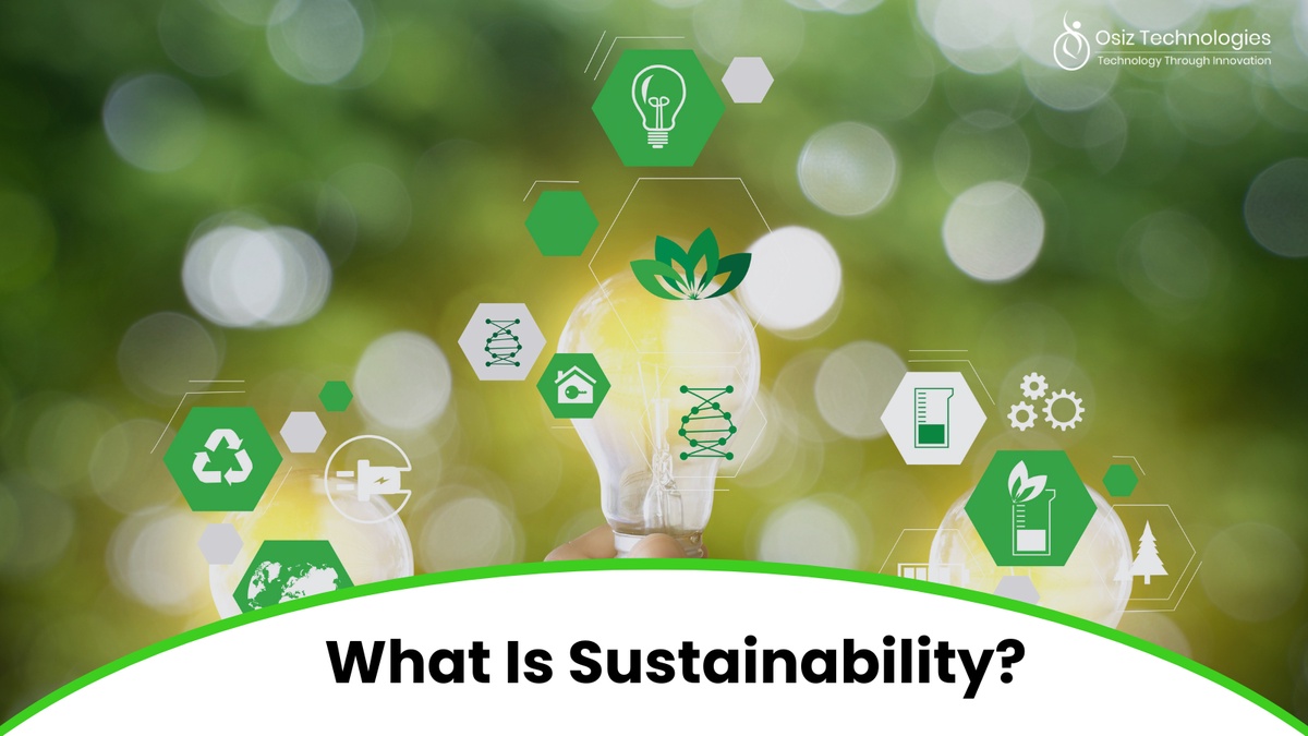 What Is Sustainability?