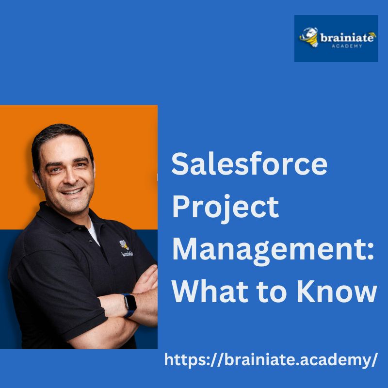 Salesforce Project Management: What to Know