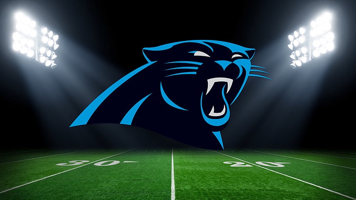 Exploring the Evolutionary Path of the Carolina Panthers' Emblem and Its Far-reaching Influence