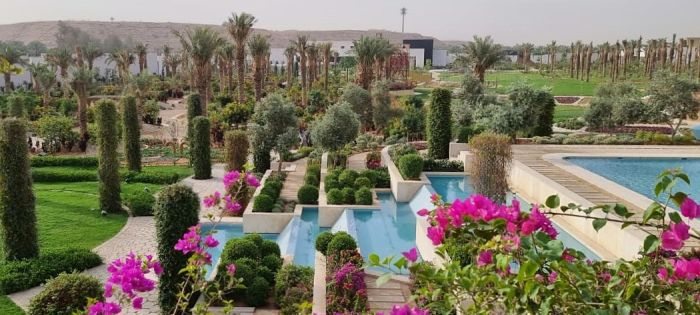 How to Choose and Install Softscape Elements for Landscaping in Saudi Arabia